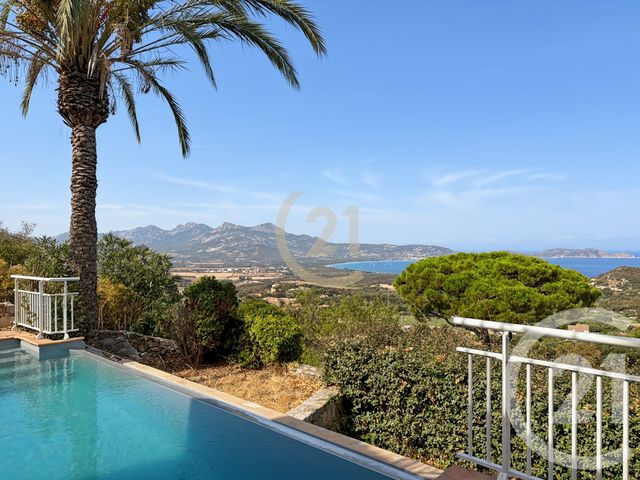 maison à vendre - 5 pièces - 171.72 m2 - LUMIO - 202 - CORSE - Century 21 Dary Immobilier