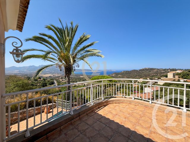 maison à vendre - 5 pièces - 171.72 m2 - LUMIO - 202 - CORSE - Century 21 Dary Immobilier