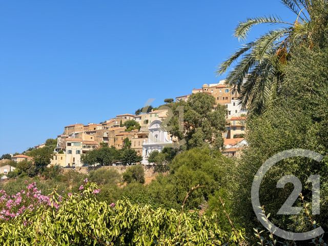 maison à vendre - 5 pièces - 171.72 m2 - LUMIO - 202 - CORSE - Century 21 Dary Immobilier