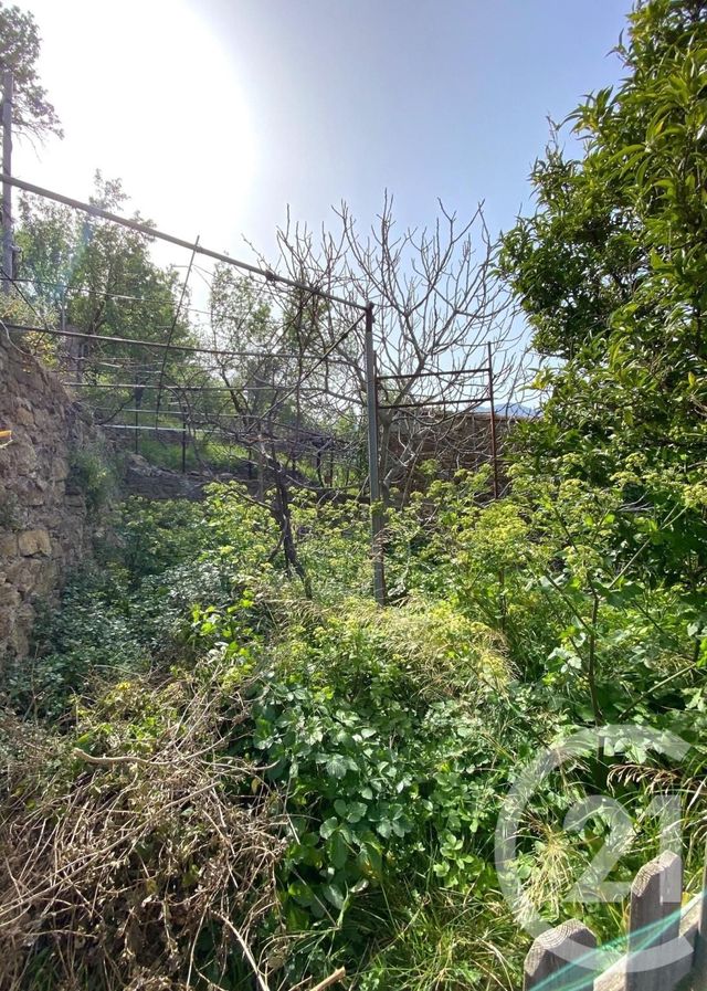 maison à vendre - 4 pièces - 76.93 m2 - BELGODERE - 202 - CORSE - Century 21 Dary Immobilier