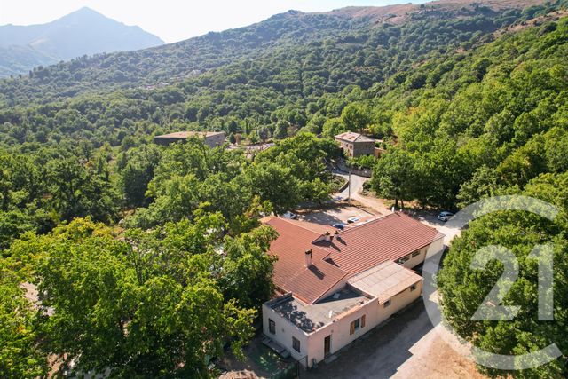 maison à vendre - 10 pièces - 416.0 m2 - PIOGGIOLA - 202 - CORSE - Century 21 Dary Immobilier