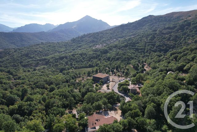 maison à vendre - 10 pièces - 416.0 m2 - PIOGGIOLA - 202 - CORSE - Century 21 Dary Immobilier