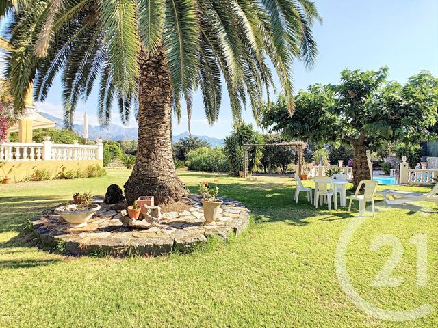 maison à vendre - 6 pièces - 238.0 m2 - LUMIO - 20 - CORSE - Century 21 Dary Immobilier