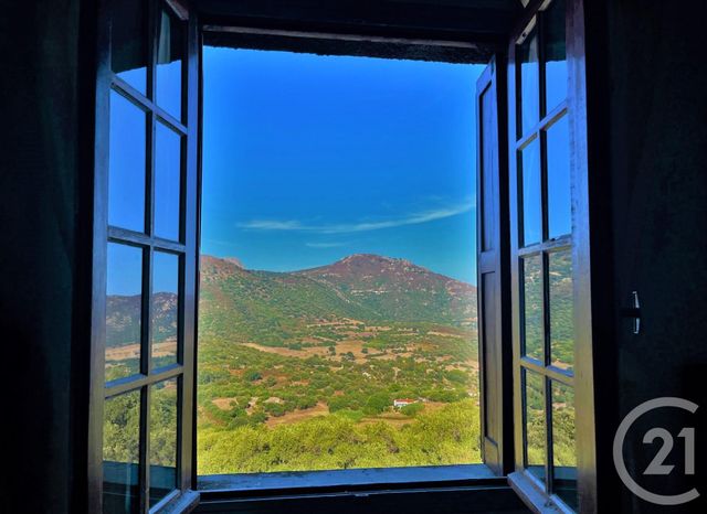 maison à vendre - 5 pièces - 95.7 m2 - AREGNO - 202 - CORSE - Century 21 Dary Immobilier