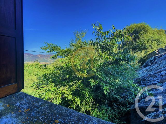 maison à vendre - 5 pièces - 95.7 m2 - AREGNO - 202 - CORSE - Century 21 Dary Immobilier