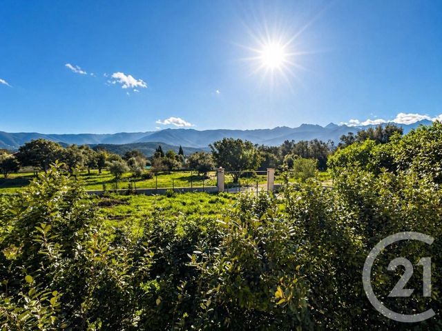 maison à vendre - 5 pièces - 135.0 m2 - SPELONCATO - 202 - CORSE - Century 21 Dary Immobilier