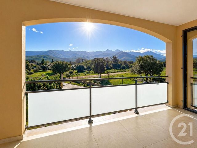 maison à vendre - 5 pièces - 135.0 m2 - SPELONCATO - 202 - CORSE - Century 21 Dary Immobilier
