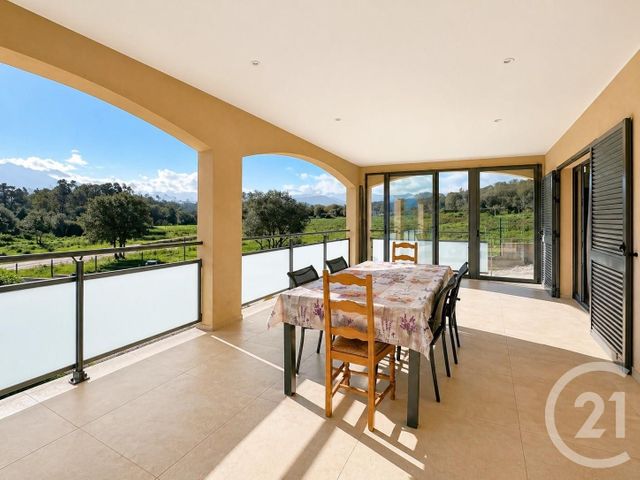 maison à vendre - 5 pièces - 135.0 m2 - SPELONCATO - 202 - CORSE - Century 21 Dary Immobilier