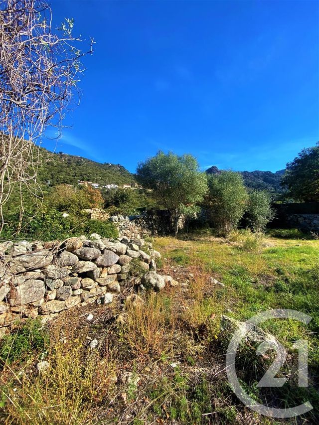 terrain à vendre - 730.0 m2 - ZILIA - 20 - CORSE - Century 21 Dary Immobilier