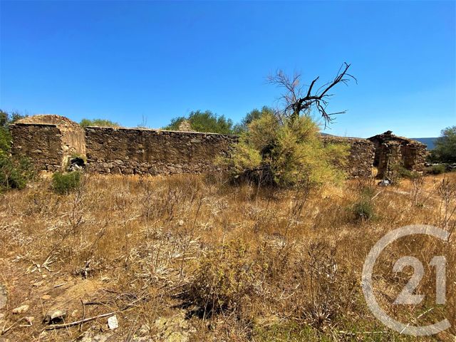 terrain à vendre - 5245.0 m2 - BELGODERE - 202 - CORSE - Century 21 Dary Immobilier