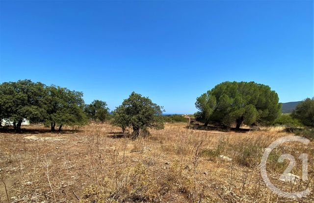 terrain à vendre - 5245.0 m2 - BELGODERE - 202 - CORSE - Century 21 Dary Immobilier