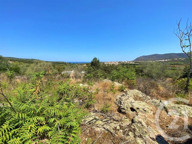 terrain à vendre - 5245.0 m2 - BELGODERE - 202 - CORSE - Century 21 Dary Immobilier