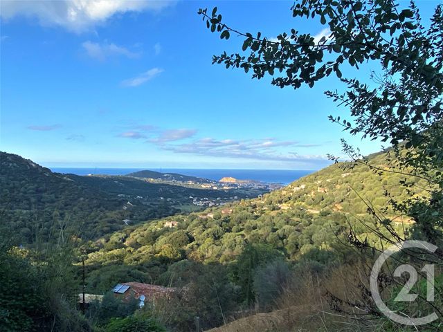 terrain à vendre - 4968.0 m2 - SANTA REPARATA DI BALAGNA - 202 - CORSE - Century 21 Dary Immobilier