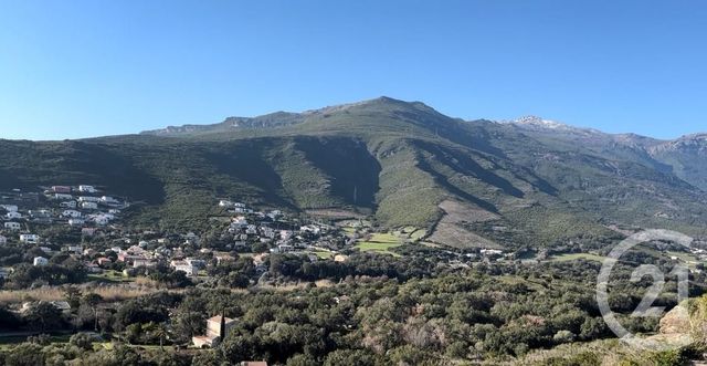 terrain à vendre - 321.0 m2 - SISCO - 20 - CORSE - Century 21 Dary Immobilier