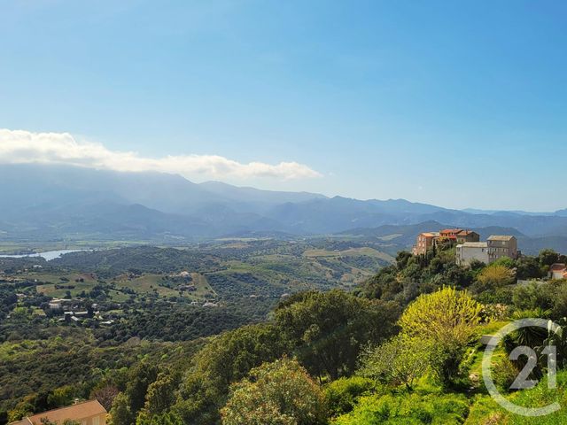 terrain à vendre - 353.0 m2 - POGGIO D OLETTA - 20 - CORSE - Century 21 Dary Immobilier