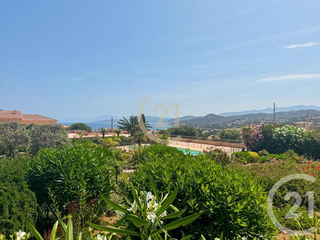 appartement - L ILE ROUSSE - 202