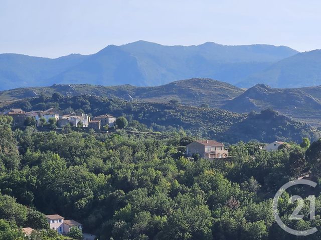maison à vendre - 10 pièces - 216.0 m2 - ST FLORENT - 202 - CORSE - Century 21 Dary Immobilier