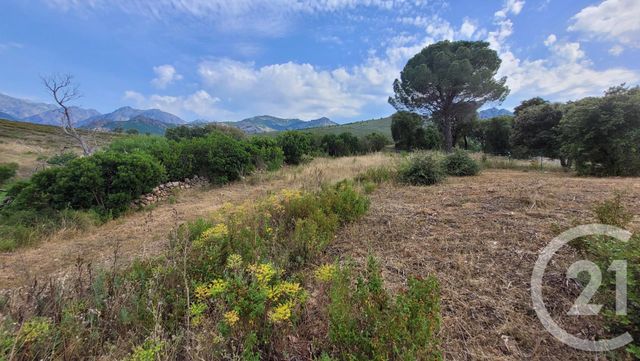 terrain à vendre - 3100.0 m2 - CALENZANA - 202 - CORSE - Century 21 Dary Immobilier