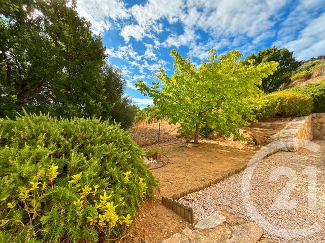 maison à vendre - 8 pièces - 178.0 m2 - SANTA REPARATA DI BALAGNA - 202 - CORSE - Century 21 Dary Immobilier