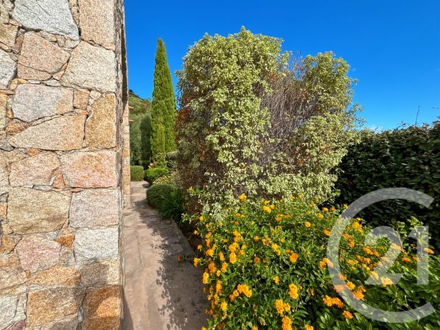maison à vendre - 8 pièces - 178.0 m2 - SANTA REPARATA DI BALAGNA - 202 - CORSE - Century 21 Dary Immobilier