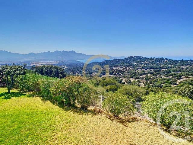 maison à vendre - 5 pièces - 185.0 m2 - LUMIO - 202 - CORSE - Century 21 Dary Immobilier