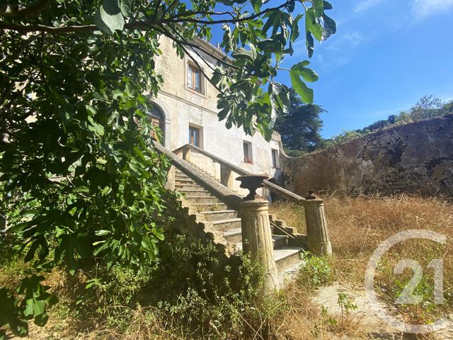 maison - SANTA REPARATA DI BALAGNA - 20