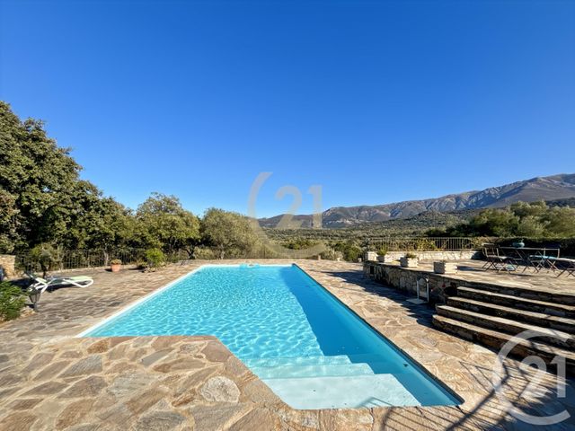 Afficher la photo en grand maison à vendre - 6 pièces - 182.21 m2 - SPELONCATO - 202 - CORSE - Century 21 Dary Immobilier