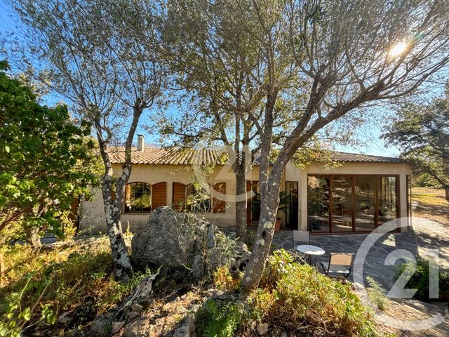 Afficher la photo en grand maison à vendre - 6 pièces - 182.21 m2 - SPELONCATO - 202 - CORSE - Century 21 Dary Immobilier