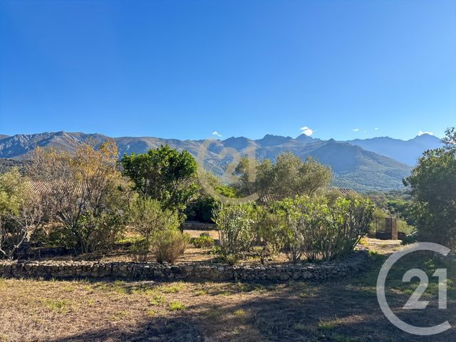 Afficher la photo en grand maison à vendre - 6 pièces - 182.21 m2 - SPELONCATO - 202 - CORSE - Century 21 Dary Immobilier