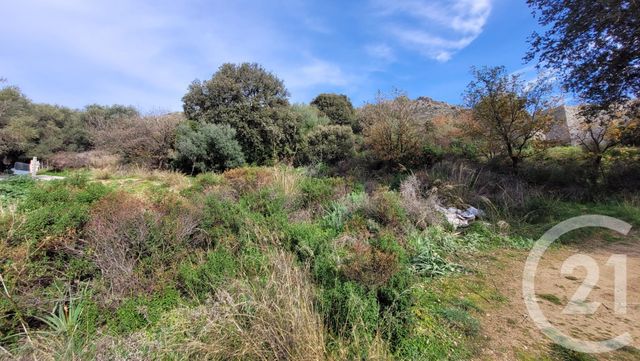 terrain à vendre - 4100.0 m2 - MONTEGROSSO - 202 - CORSE - Century 21 Dary Immobilier
