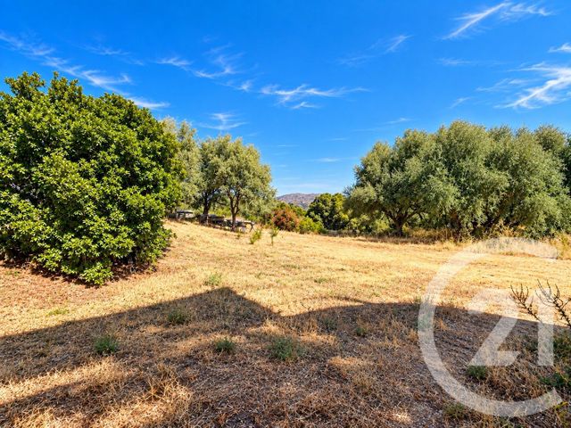maison à vendre - 4 pièces - 107.75 m2 - VILLE DI PARASO - 202 - CORSE - Century 21 Dary Immobilier