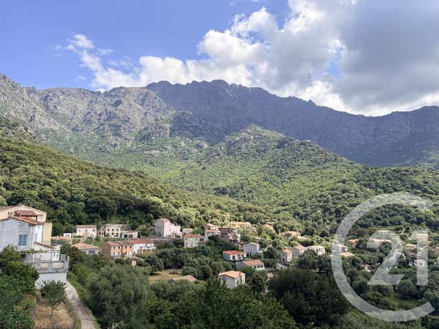 Appartement Studio à vendre - 1 pièce - 18.08 m2 - ZILIA - 202 - CORSE - Century 21 Dary Immobilier