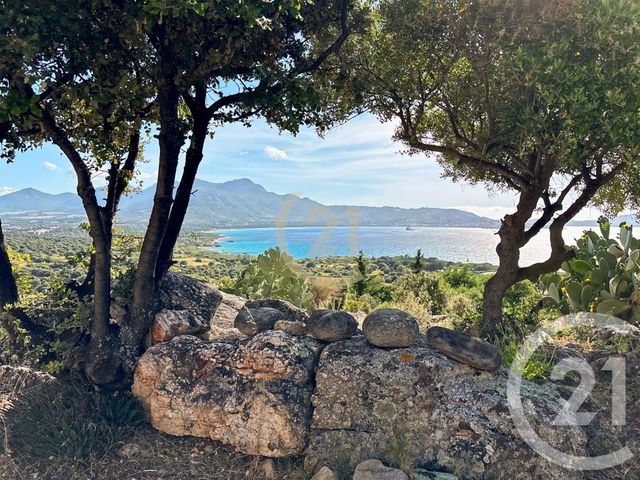 maison à vendre - 5 pièces - 146.0 m2 - LUMIO - 202 - CORSE - Century 21 Dary Immobilier
