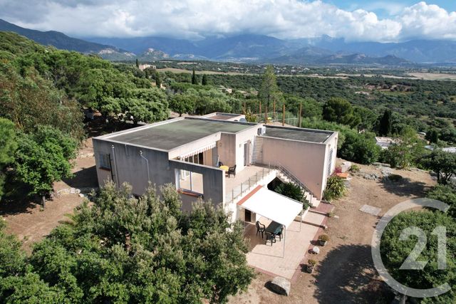 maison à vendre - 5 pièces - 146.0 m2 - LUMIO - 202 - CORSE - Century 21 Dary Immobilier