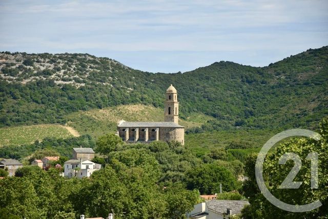maison à vendre - 7 pièces - 261.3 m2 - PATRIMONIO - 202 - CORSE - Century 21 Dary Immobilier