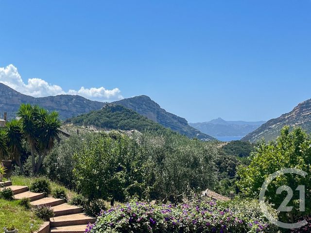 maison à vendre - 7 pièces - 261.3 m2 - PATRIMONIO - 202 - CORSE - Century 21 Dary Immobilier
