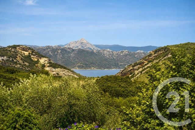 maison à vendre - 7 pièces - 261.3 m2 - PATRIMONIO - 202 - CORSE - Century 21 Dary Immobilier