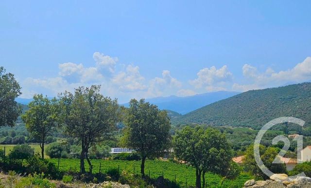 Appartement Studio à vendre - 1 pièce - 25.0 m2 - OLETTA - 202 - CORSE - Century 21 Dary Immobilier