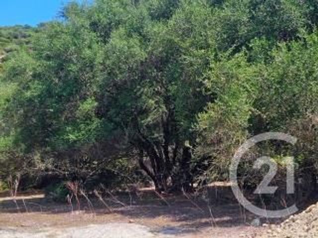 Appartement T2 à vendre - 2 pièces - 51.0 m2 - OLETTA - 202 - CORSE - Century 21 Dary Immobilier