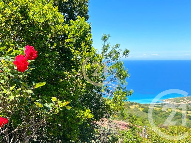 maison à vendre - 5 pièces - 126.01 m2 - SANTA REPARATA DI BALAGNA - 202 - CORSE - Century 21 Dary Immobilier