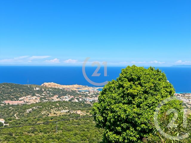 maison à vendre - 5 pièces - 126.01 m2 - SANTA REPARATA DI BALAGNA - 202 - CORSE - Century 21 Dary Immobilier