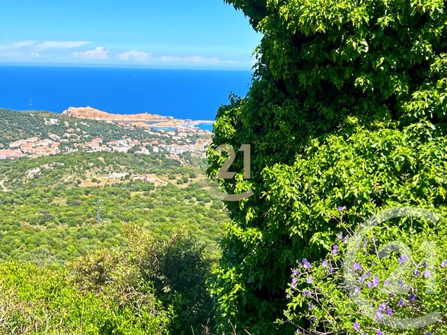 maison à vendre - 5 pièces - 126.01 m2 - SANTA REPARATA DI BALAGNA - 202 - CORSE - Century 21 Dary Immobilier