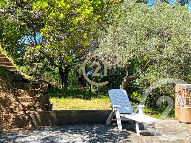 maison à vendre - 5 pièces - 126.01 m2 - SANTA REPARATA DI BALAGNA - 202 - CORSE - Century 21 Dary Immobilier