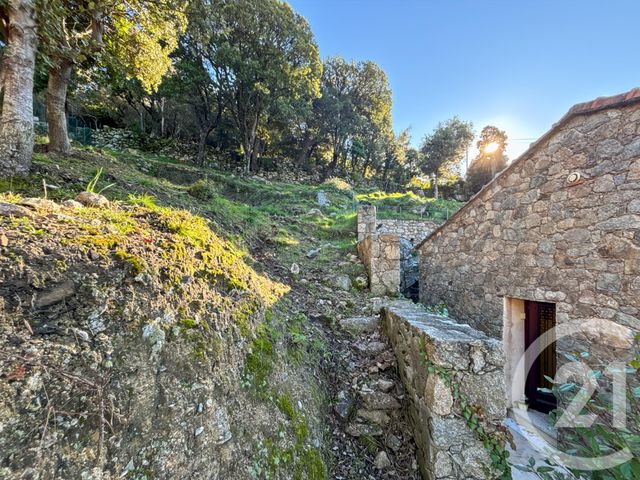 maison à vendre - 3 pièces - 81.31 m2 - URTACA - 202 - CORSE - Century 21 Dary Immobilier