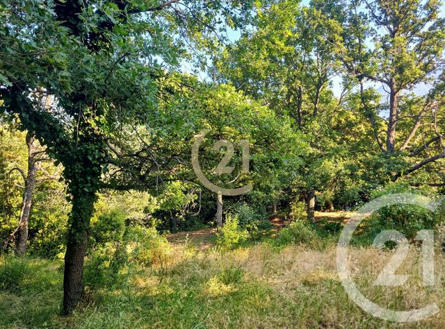 Afficher la photo en grand terrain à vendre - 1459.0 m2 - OLMI CAPPELLA - 202 - CORSE - Century 21 Dary Immobilier