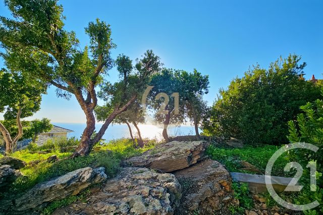 Afficher la photo en grand maison à vendre - 6 pièces - 181.91 m2 - SAN MARTINO DI LOTA - 202 - CORSE - Century 21 Dary Immobilier