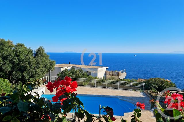 Afficher la photo en grand maison à vendre - 6 pièces - 181.91 m2 - SAN MARTINO DI LOTA - 202 - CORSE - Century 21 Dary Immobilier