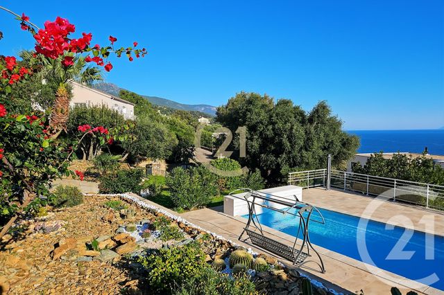 Afficher la photo en grand maison à vendre - 6 pièces - 181.91 m2 - SAN MARTINO DI LOTA - 202 - CORSE - Century 21 Dary Immobilier