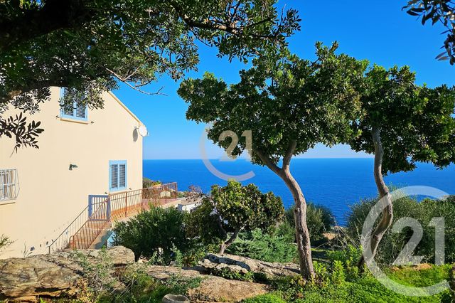 Afficher la photo en grand maison à vendre - 6 pièces - 181.91 m2 - SAN MARTINO DI LOTA - 202 - CORSE - Century 21 Dary Immobilier