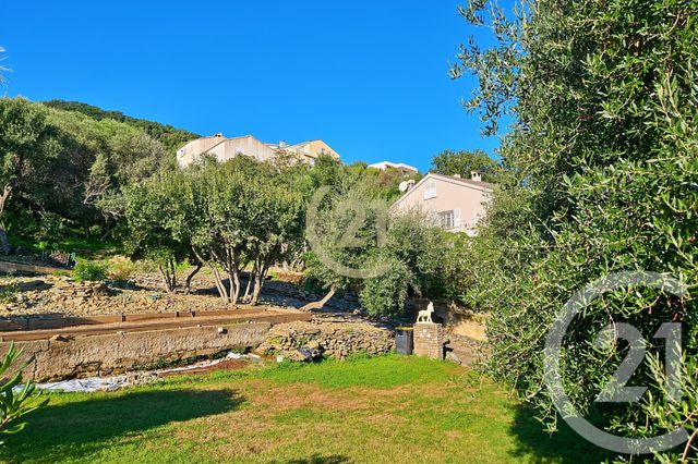 Afficher la photo en grand maison à vendre - 6 pièces - 181.91 m2 - SAN MARTINO DI LOTA - 202 - CORSE - Century 21 Dary Immobilier